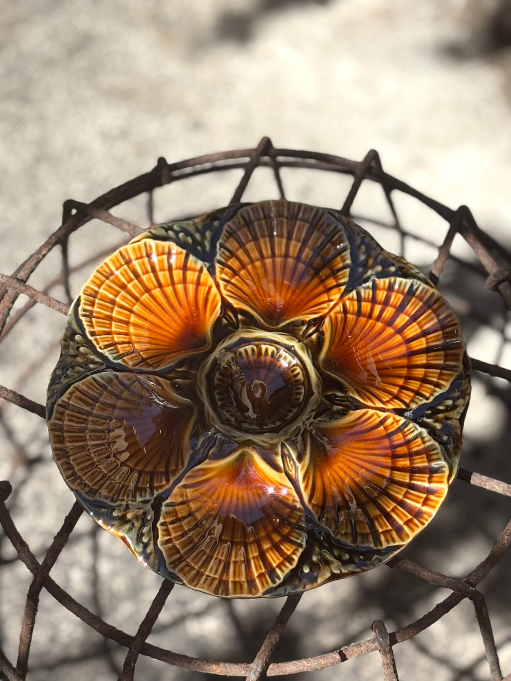French Oyster Plate